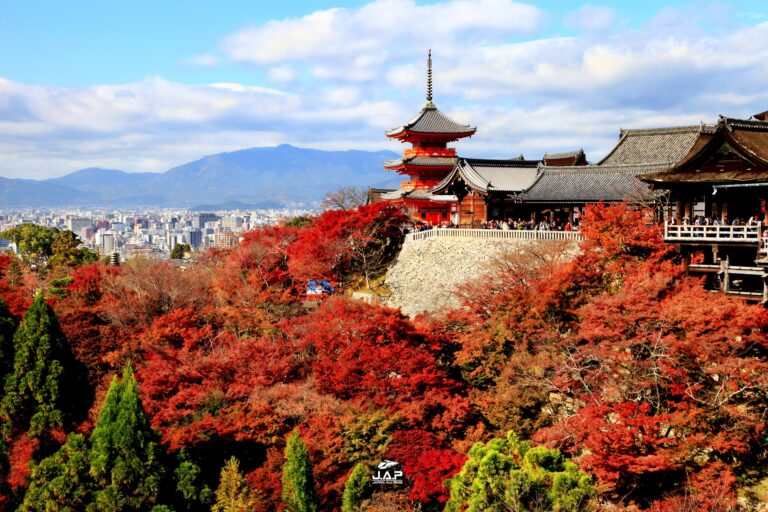 ใบไม้เปลี่ยนสีวัดน้ำใส Kiyomizu-dera