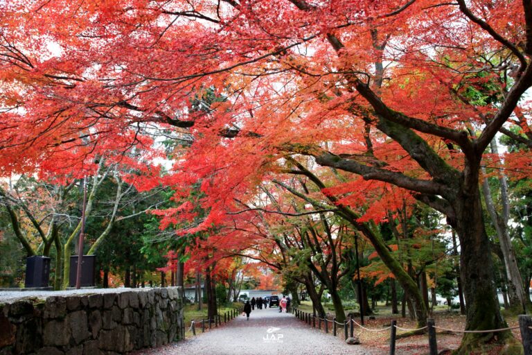 ใบไม้เปลี่ยนสีวัดนันเซ็นจิ (Nanzen-ji) 