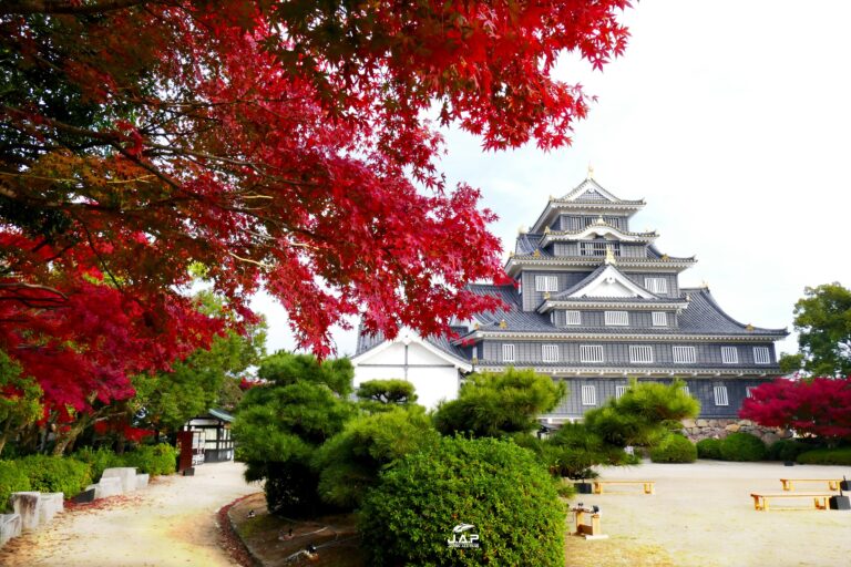 ใบไม้เปลี่ยนสีปราสาท Okayama