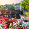 บัตรเข้าสวนสนุก "HUIS TEN BOSCH" (1 DAY PASS) - Image 10