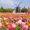 บัตรเข้าสวนสนุก "HUIS TEN BOSCH" (1 DAY PASS) - Image 4