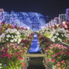 บัตรเข้าสวนสนุก "HUIS TEN BOSCH" (1 DAY PASS) - Image 12