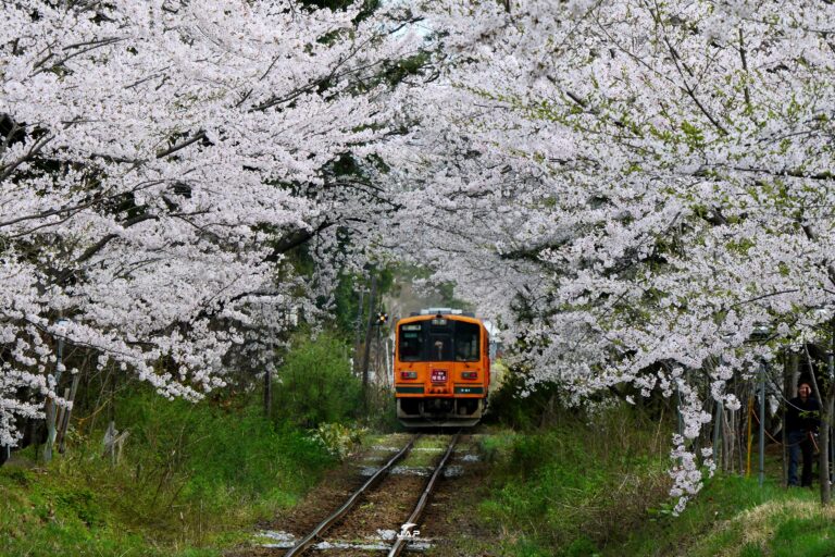 Tohoku Ashino Park