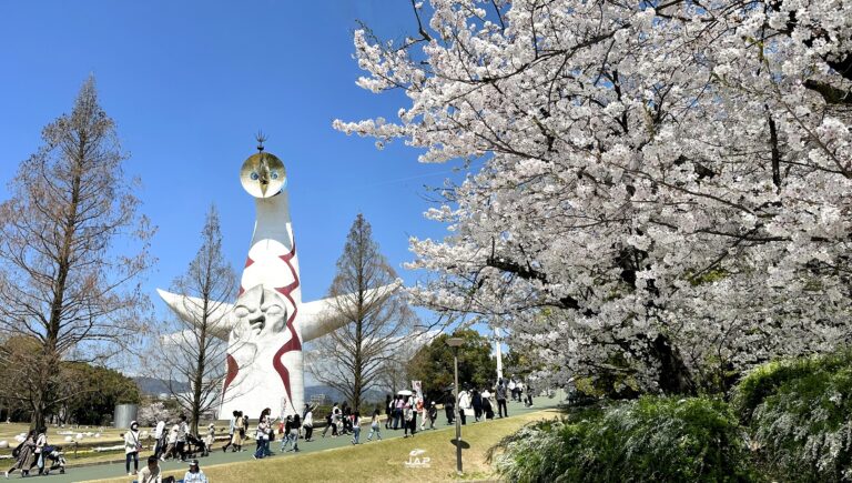 คันไซซากุระสวน Expo’70 Commemorative Park