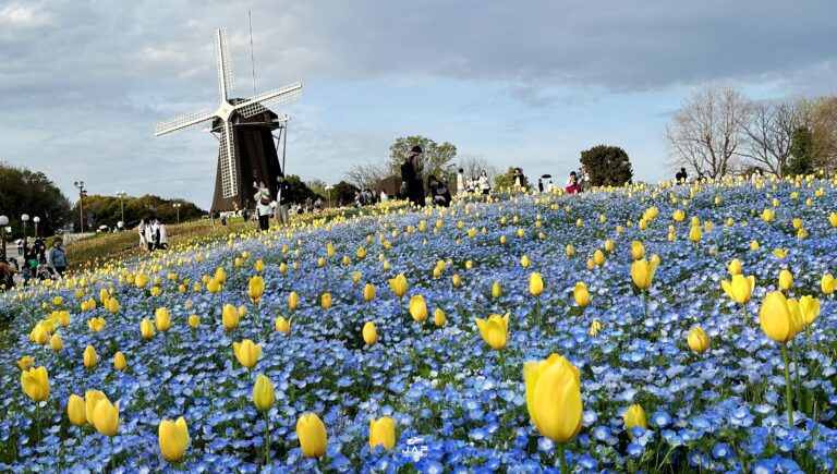 คันไซซากุระสวน Tsurumi Ryokuchi Park