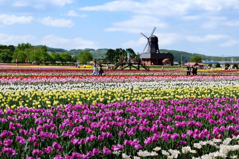 Kamiyubetsu Tulip Park