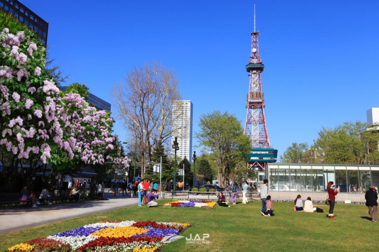 ไลแลค Odori Park