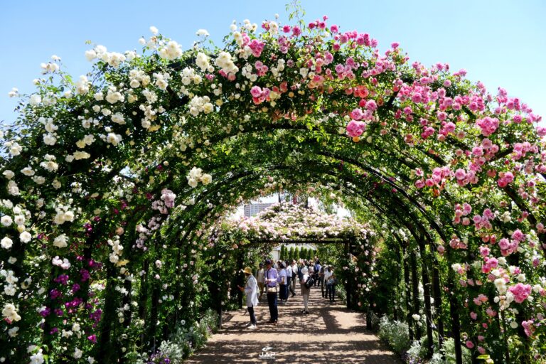 Yokohama English Garden